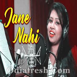 Jane Nanhi - Odia Album Song